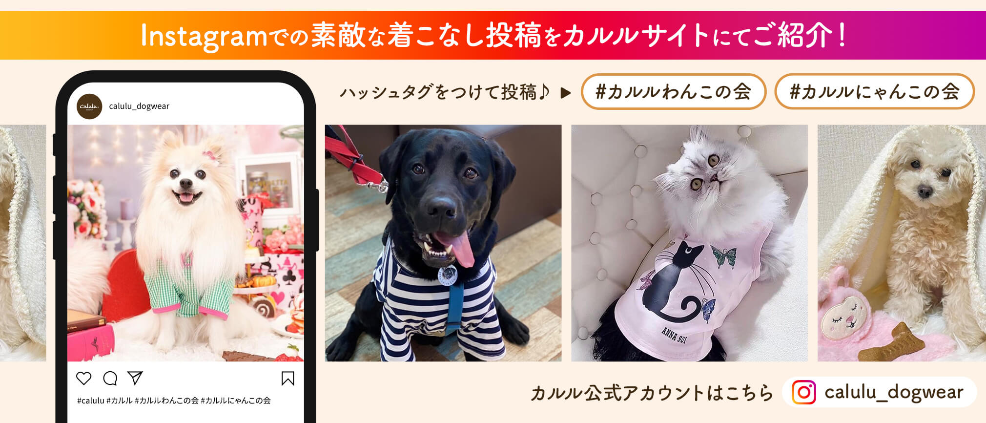 犬服・ドッグウェア・犬用ベッド・ペット用品ブランド通販サイト