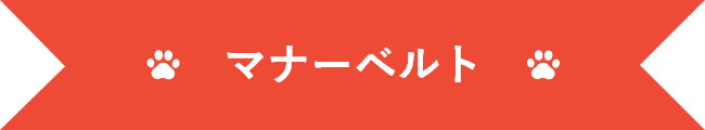 マナーベルト