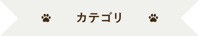 カテゴリ