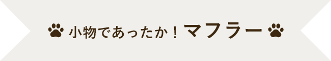 小物であったか！マフラー