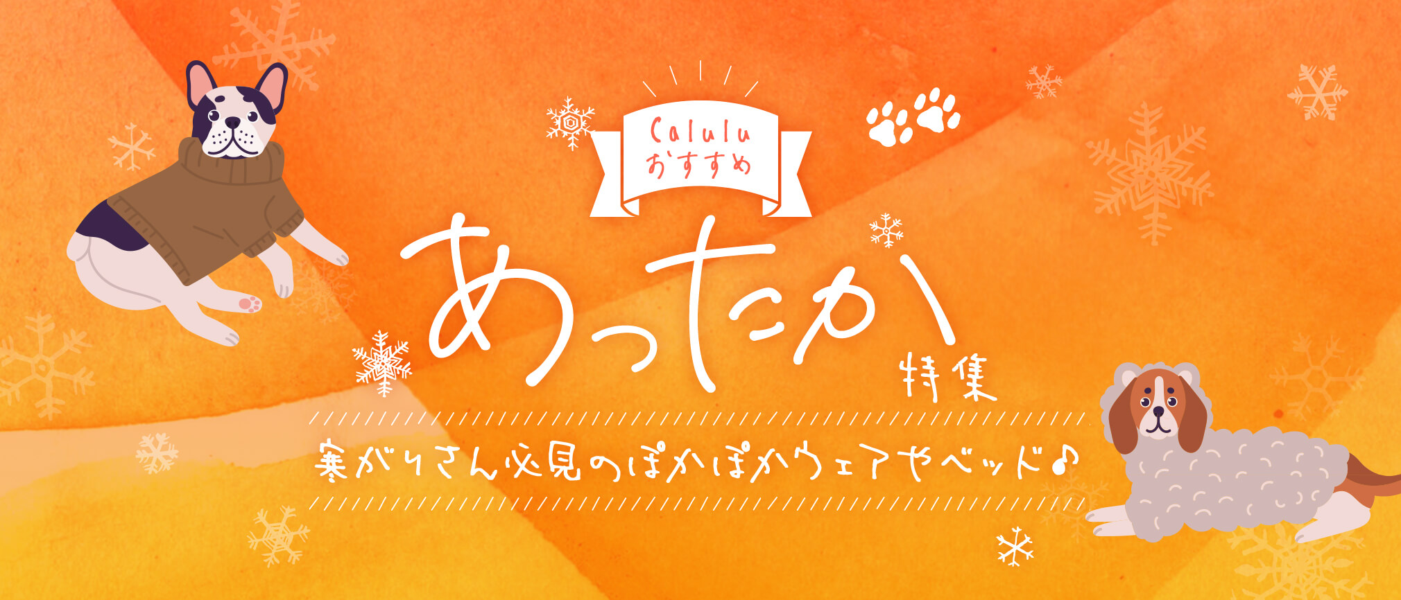 寒い冬に防寒対策！お散歩もおうちも暖かく♪カルルおすすめ！あったか特集