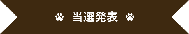 当選発表