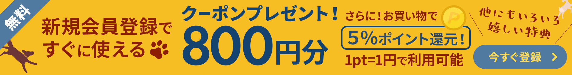新規会員登録でクーポンゲット！登録後すぐに使える