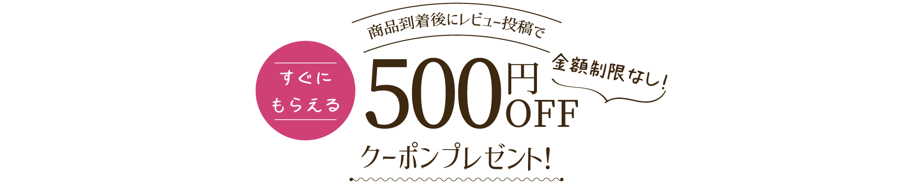 レビュー投稿で500円OFFクーポンプレゼント