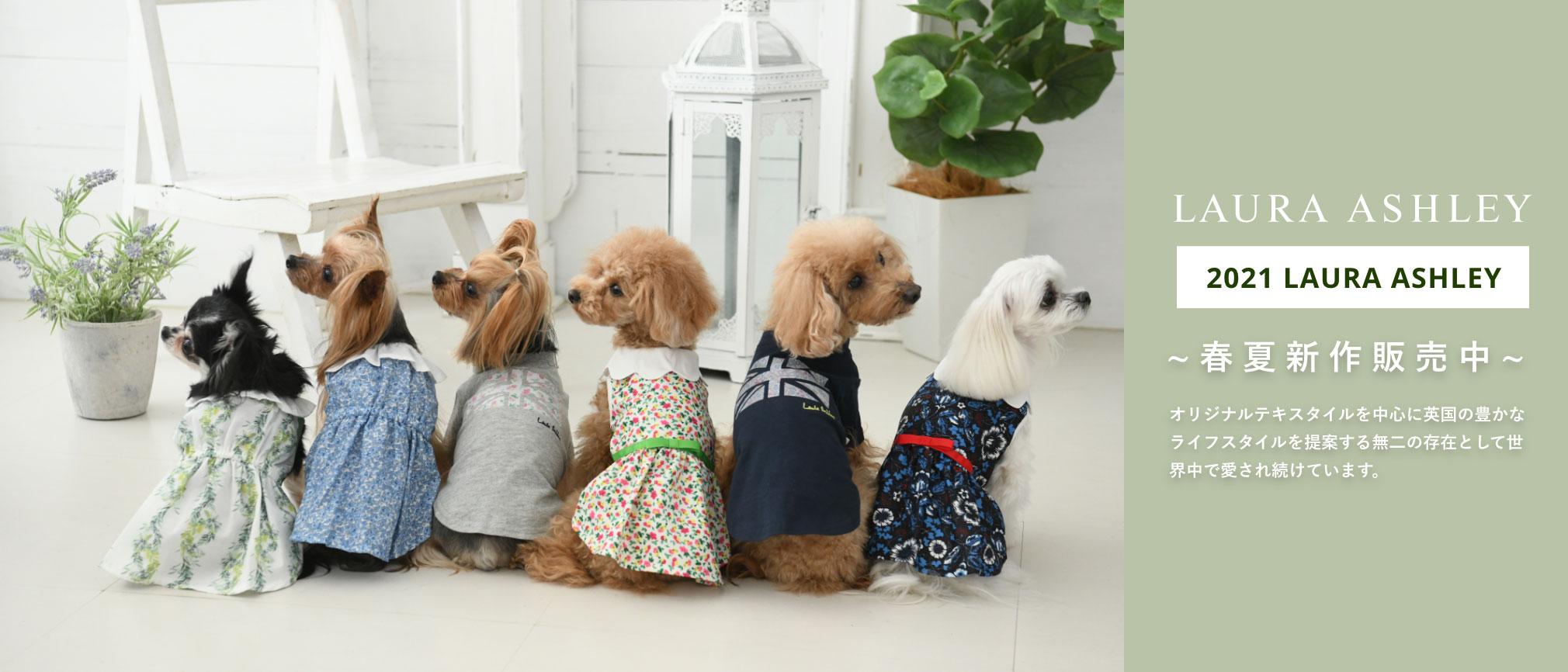 犬服 ドッグウェアブランド Calulu カルル 公式ペット用品通販 犬服 ドッグウェアブランド Calulu カルル 公式ペット用品通販