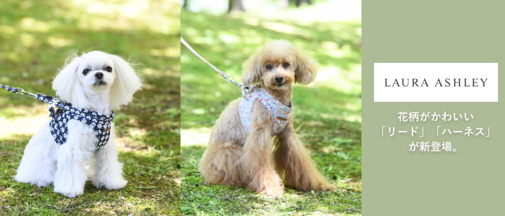 犬服 ドッグウェアブランド Calulu カルル 公式ペット用品通販サイト 犬服 ドッグウェアブランド Calulu カルル 公式ペット用品通販サイト