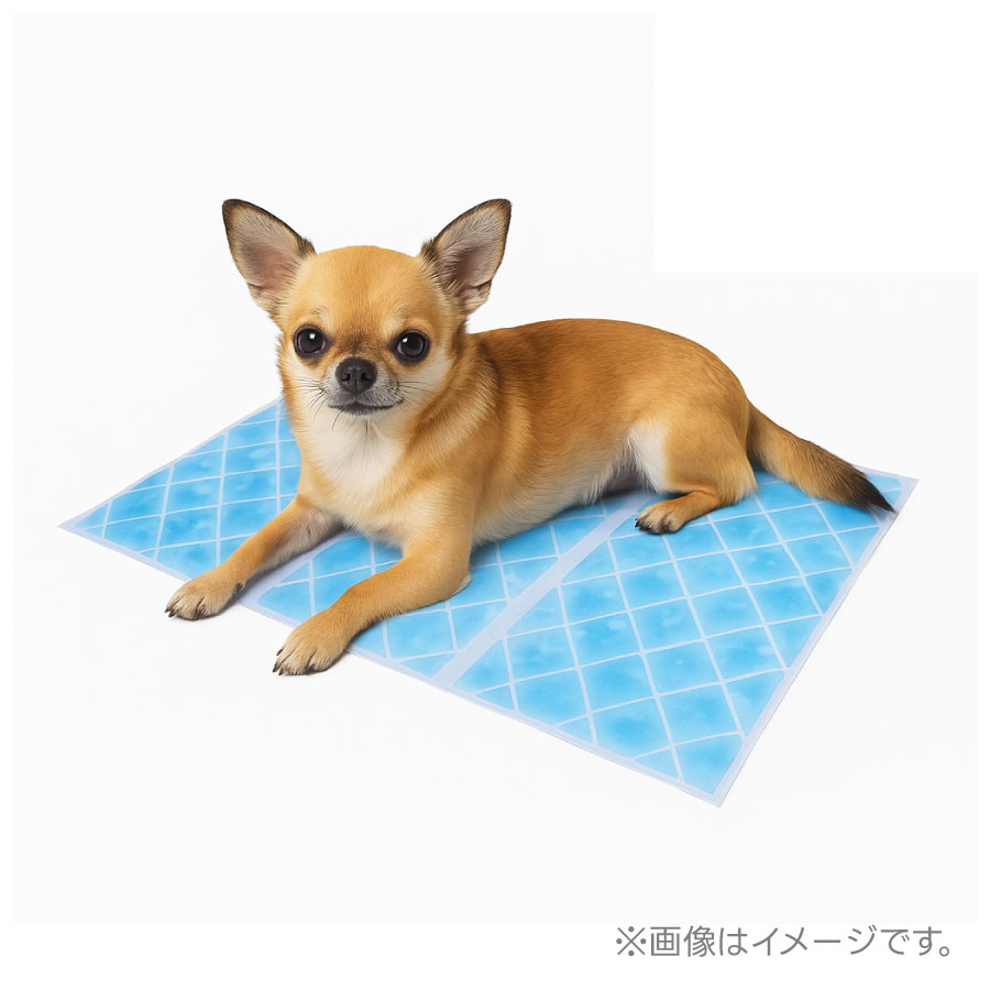 【クールグッズ】アイス敷きパッド（EVAポーチ付）