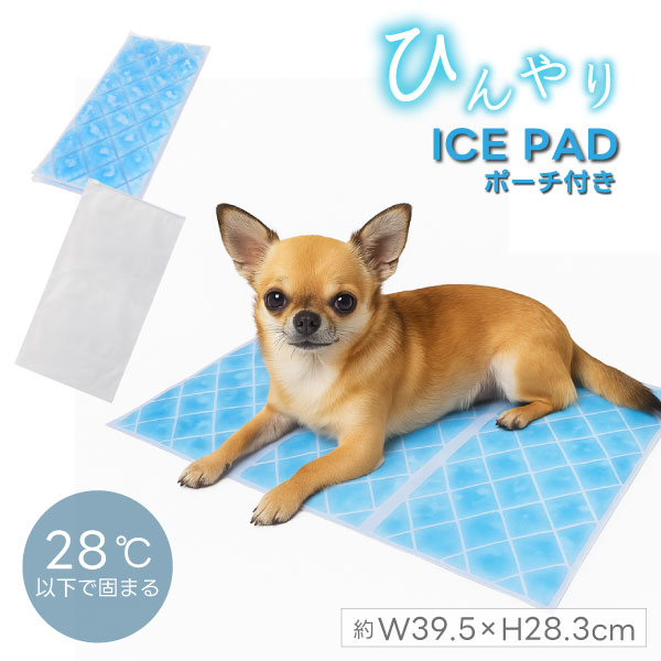 【クールグッズ】アイス敷きパッド（EVAポーチ付）