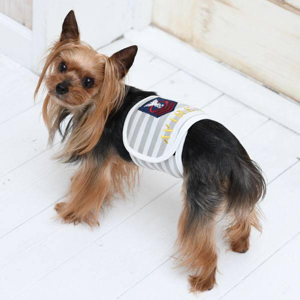 Avirex アヴィレックス 犬服 ドックウェアcalulu カルル Avirex アヴィレックス 犬服 ドックウェアcalulu カルル