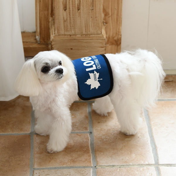 Logos ロゴス マナーベルト ロゴ 犬服 ドックウェアcalulu カルル