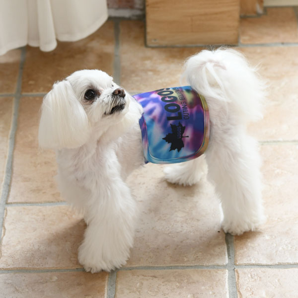 マナーベルト 犬服 ドックウェアcalulu カルル マナーベルト 犬服 ドックウェアcalulu カルル
