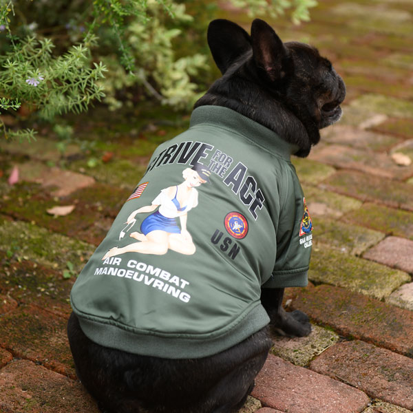ジャケット アウター 犬服 ドックウェアcalulu カルル ジャケット アウター 犬服 ドックウェアcalulu カルル