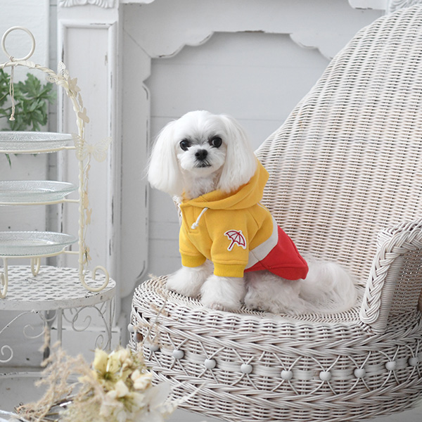 2021秋冬 Arnold Palmer（アーノルドパーマー）マルチカラー ロゴ パーカーグレー完売 | 犬服・ドックウェアCalulu(カルル)