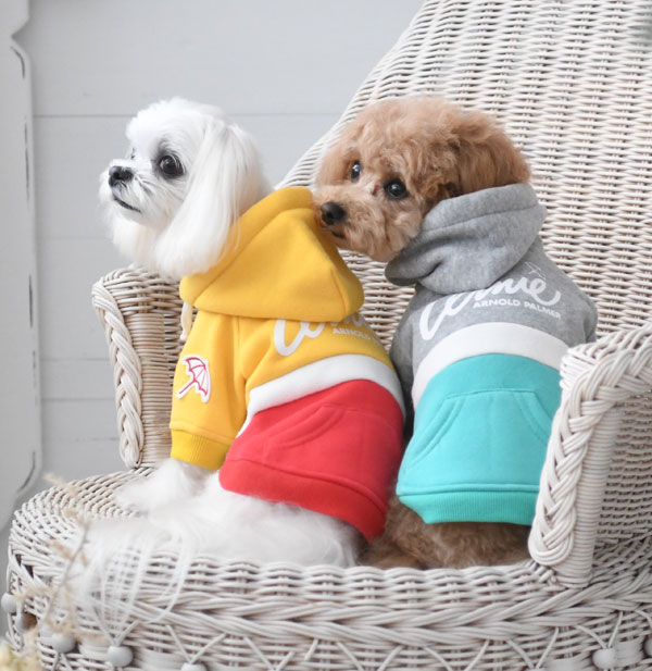 2021秋冬 Arnold Palmer（アーノルドパーマー）マルチカラー ロゴ パーカーグレー完売 | 犬服・ドックウェアCalulu(カルル)