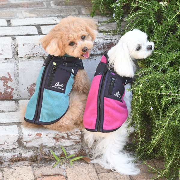 21秋冬 Arnold Palmer アーノルドパーマー バイカラー フリース ベスト 犬服 ドックウェアcalulu カルル 21秋冬 Arnold Palmer アーノルドパーマー バイカラー フリース ベスト 犬服 ドックウェアcalulu カルル