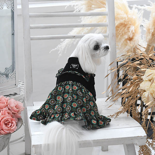 2021秋冬 ANNA SUI（アナ スイ）ボヘミアン ベロア ワンピース　※ブラックのみ