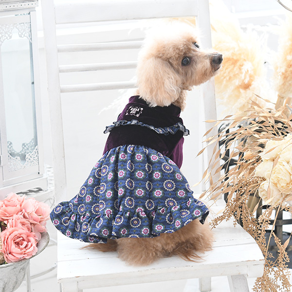 21秋冬 Anna Sui アナ スイ ボヘミアン ベロア ワンピース 犬服 ドックウェアcalulu カルル