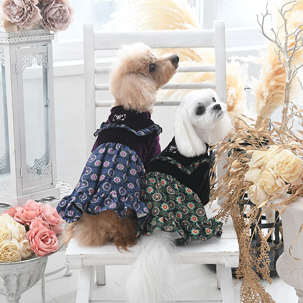 ANNA SUI（アナ スイ）ボヘミアン ベロア ワンピース　※ブラックのみ