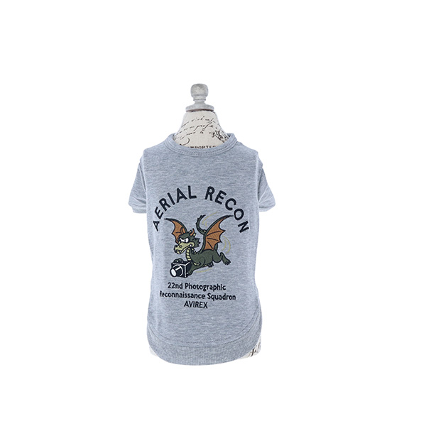 AVIREX（アヴィレックス）エアリアル Ｔシャツ