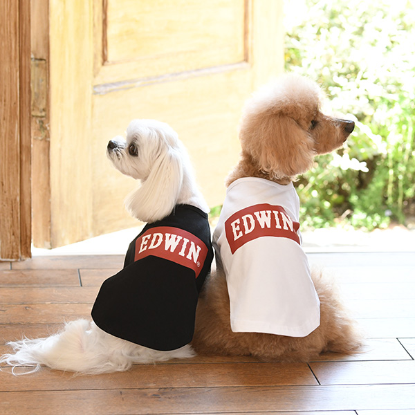 EDWIN（エドウイン）ベーシック ロゴ Ｔシャツ