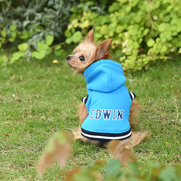 2021秋冬 EDWIN（エドウイン）カレッジ パーカー | 犬服・ドックウェアCalulu(カルル)