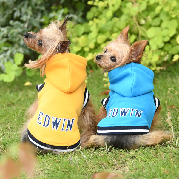 2021秋冬 EDWIN（エドウイン）カレッジ パーカー | 犬服・ドックウェアCalulu(カルル)
