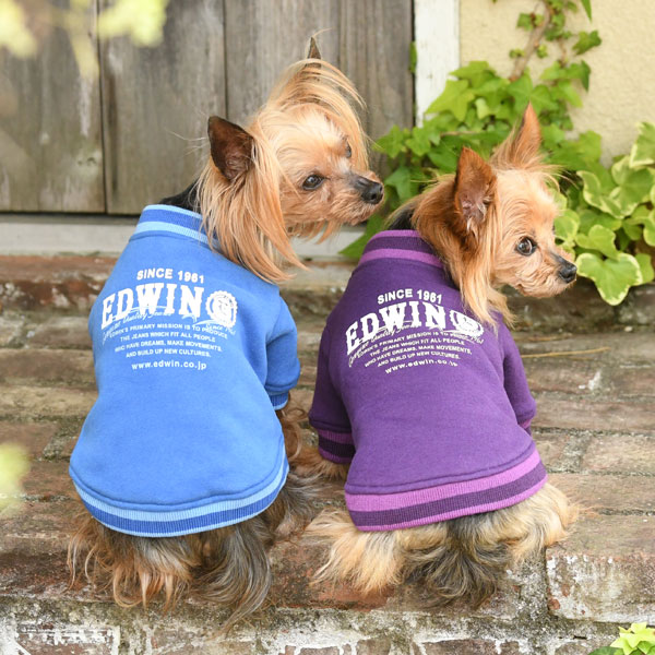 EDWINスウェットブルゾンを着た犬たち