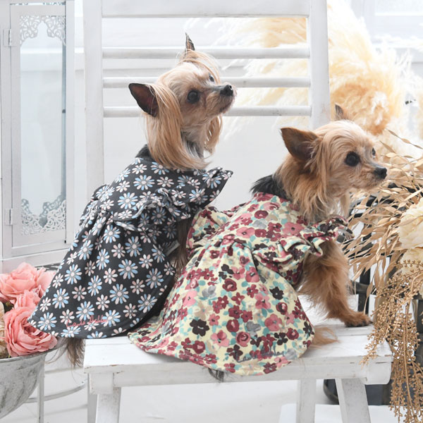 21秋冬 Laura Ashley ローラアシュレイ ショルダー フリル ワンピース 犬服 ドックウェアcalulu カルル