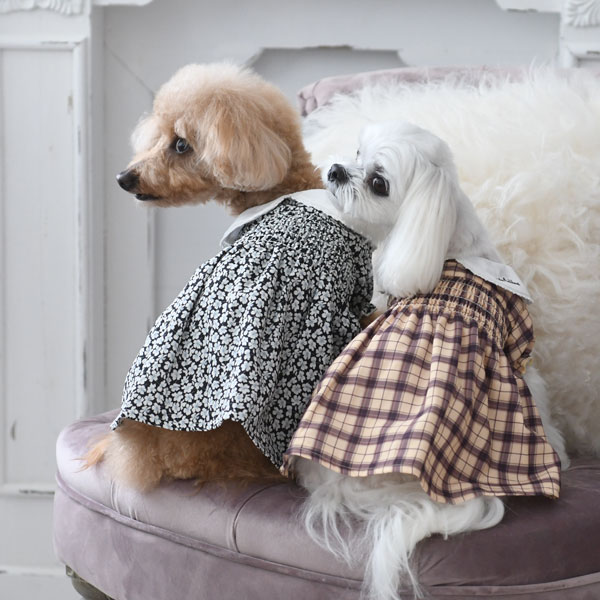 21秋冬 Laura Ashley ローラアシュレイ スモッキング刺繍ワンピース 犬服 ドックウェアcalulu カルル