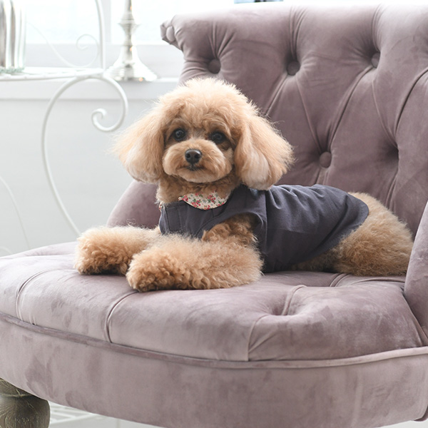 2021秋冬 LAURA ASHLEY（ローラアシュレイ）プリントスカーフ Ｔシャツ