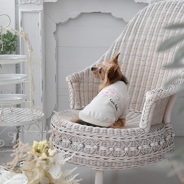 LAURA ASHLEY（ローラアシュレイ）ユニオンプリント スウェット
