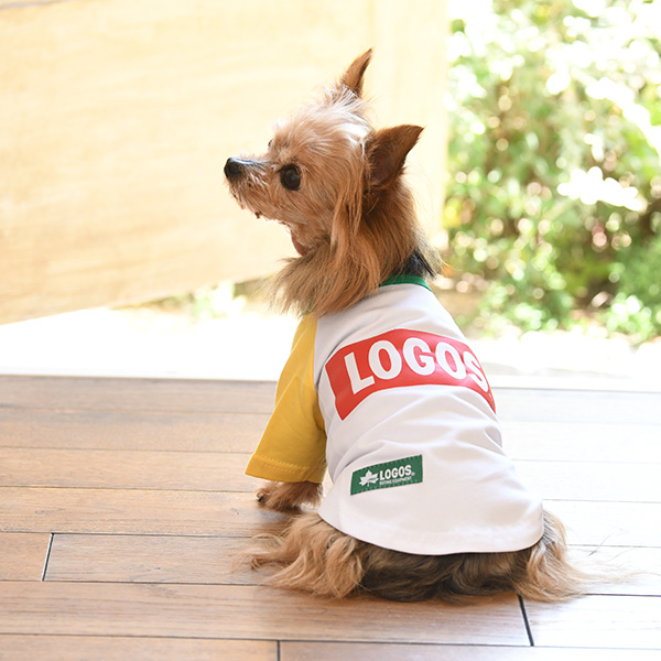 2021秋冬 LOGOS（ ロゴス）ボックス ロゴ Ｔシャツ