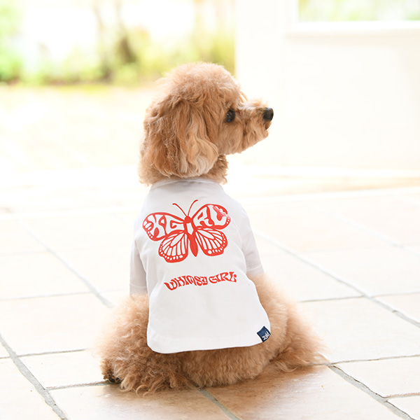 X-girl（エックスガール）バタフライ Ｔシャツ  ※ピンクのみ