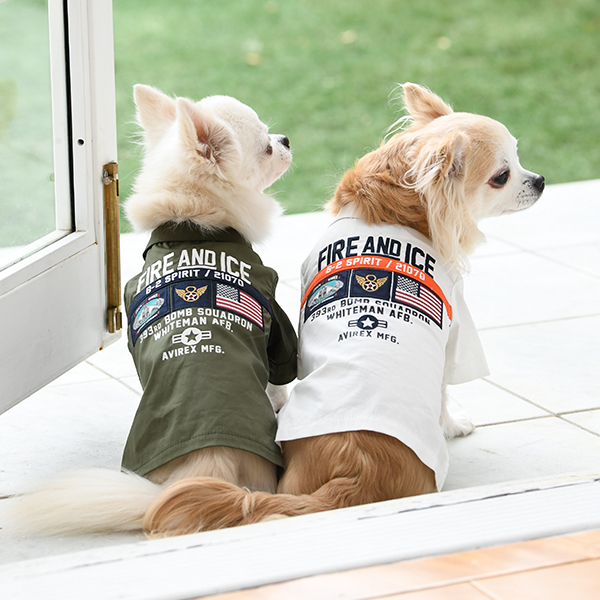 Avirex アヴィレックス 犬服 ドックウェアcalulu カルル Avirex アヴィレックス 犬服 ドックウェアcalulu カルル