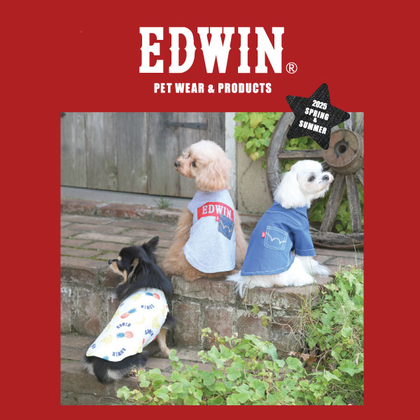 2025新商品 EDWIN（ エドウィン）シャークメッシュタンク