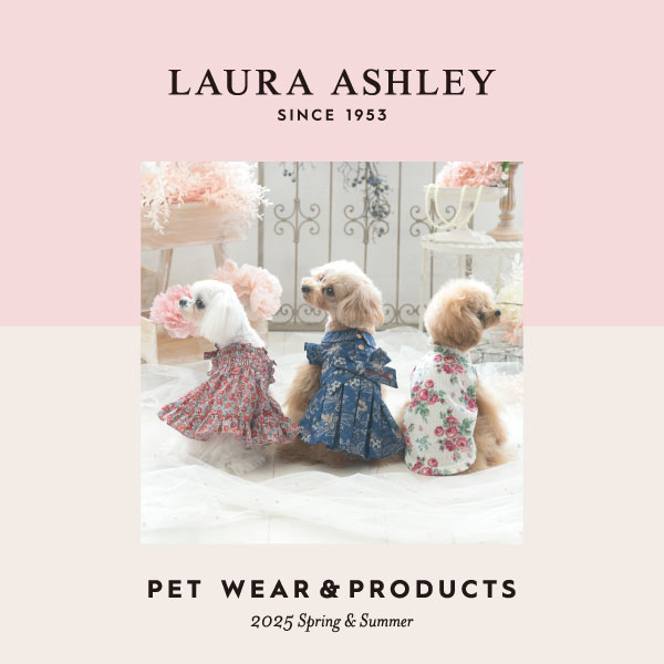2025新商品 LAURA ASHLEY（ローラアシュレイ）リボンワンピース