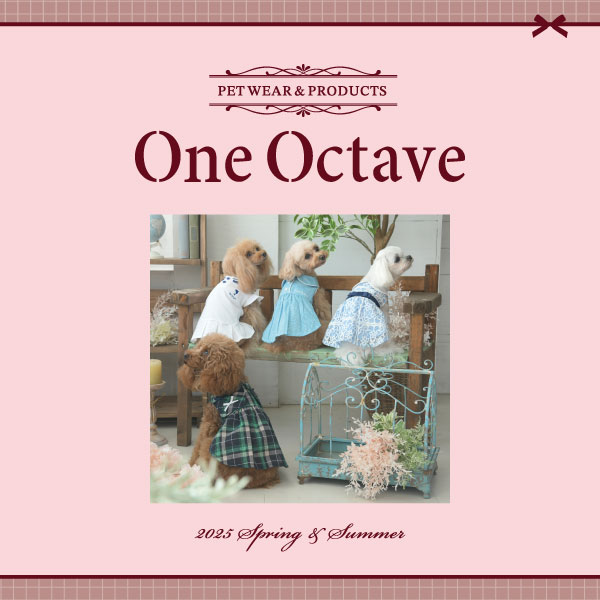 2025新商品 ONE OCTAVE（ワンオクターヴ）ビック襟ワンピ