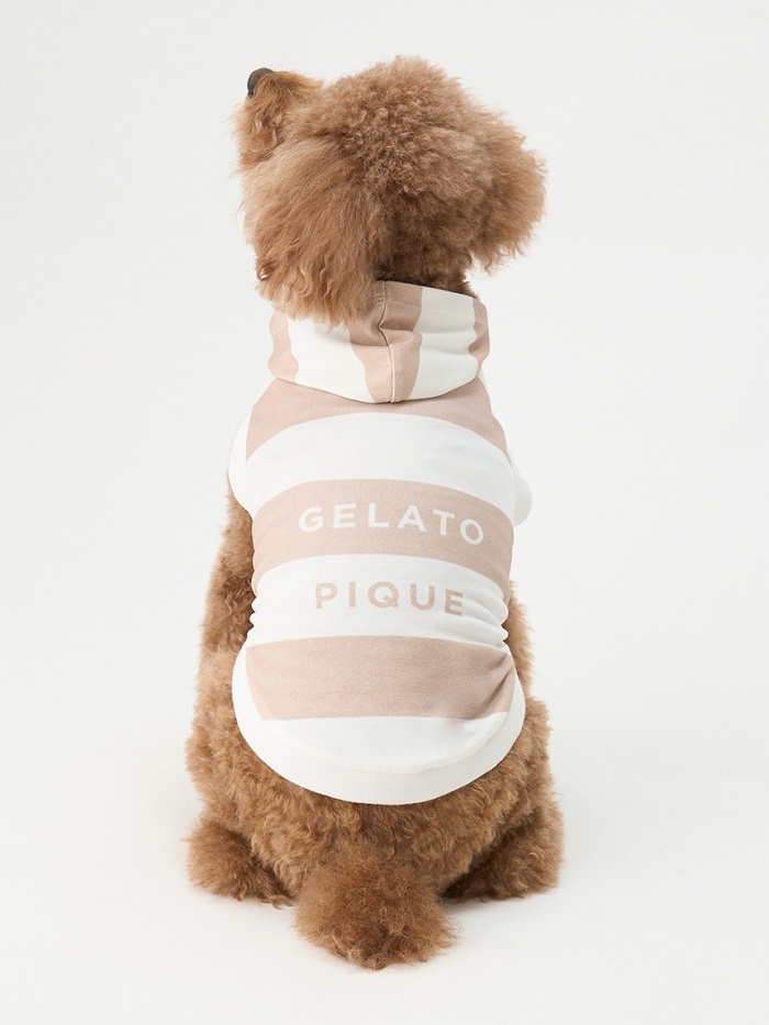 gelato pique（ジェラートピケ）【CAT&DOG】【販路限定商品】コットンモダール2BDプルオーバー｜全3色