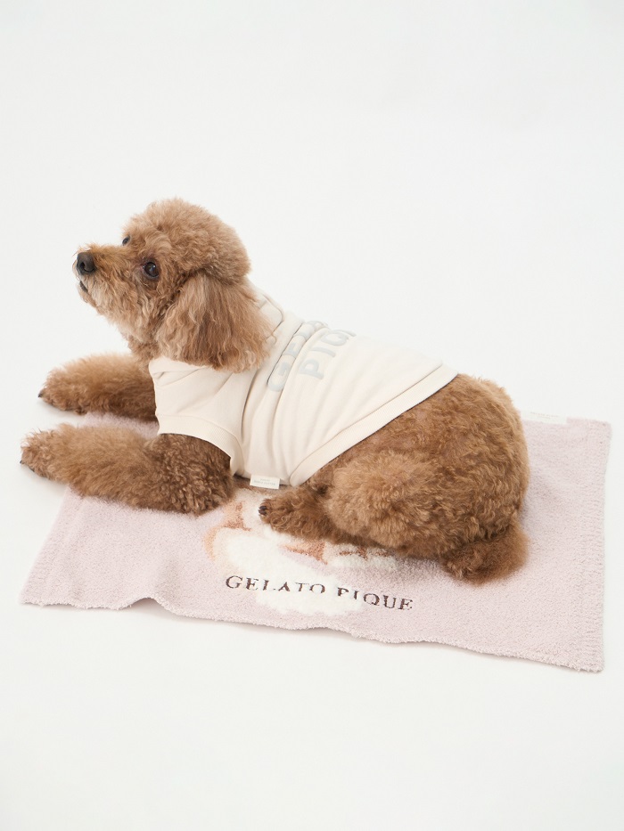 gelato pique（ジェラートピケ）【CAT&DOG】【販路限定商品】ねこ柄ブランケット｜全2色