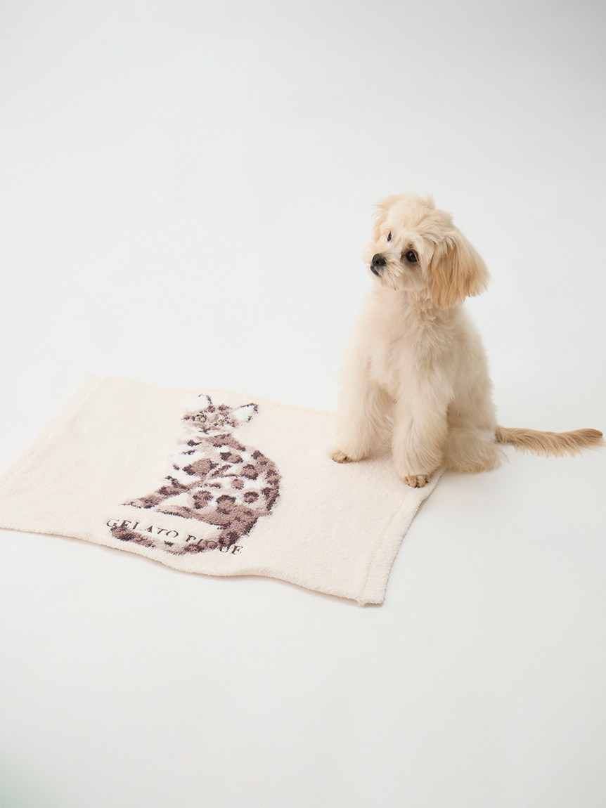 gelato pique（ジェラートピケ）【CAT&DOG】【販路限定商品】ねこ柄ブランケット｜全2色
