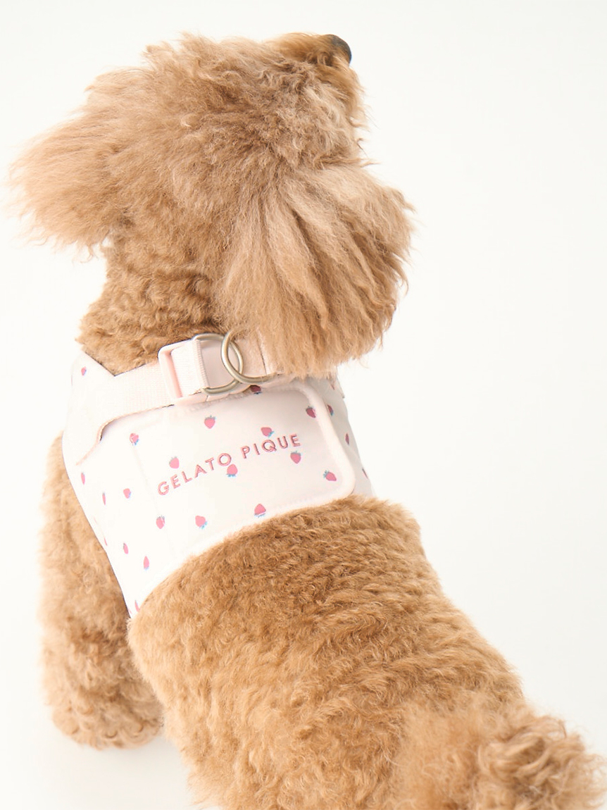 gelato pique（ジェラートピケ）【CAT&DOG】【販路限定商品】モチーフ柄ハーネス｜全2色