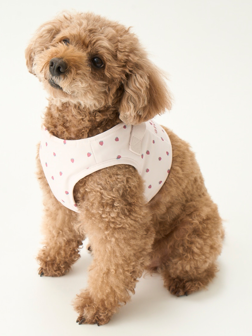 gelato pique（ジェラートピケ）【CAT&DOG】【販路限定商品】モチーフ柄ハーネス｜全2色