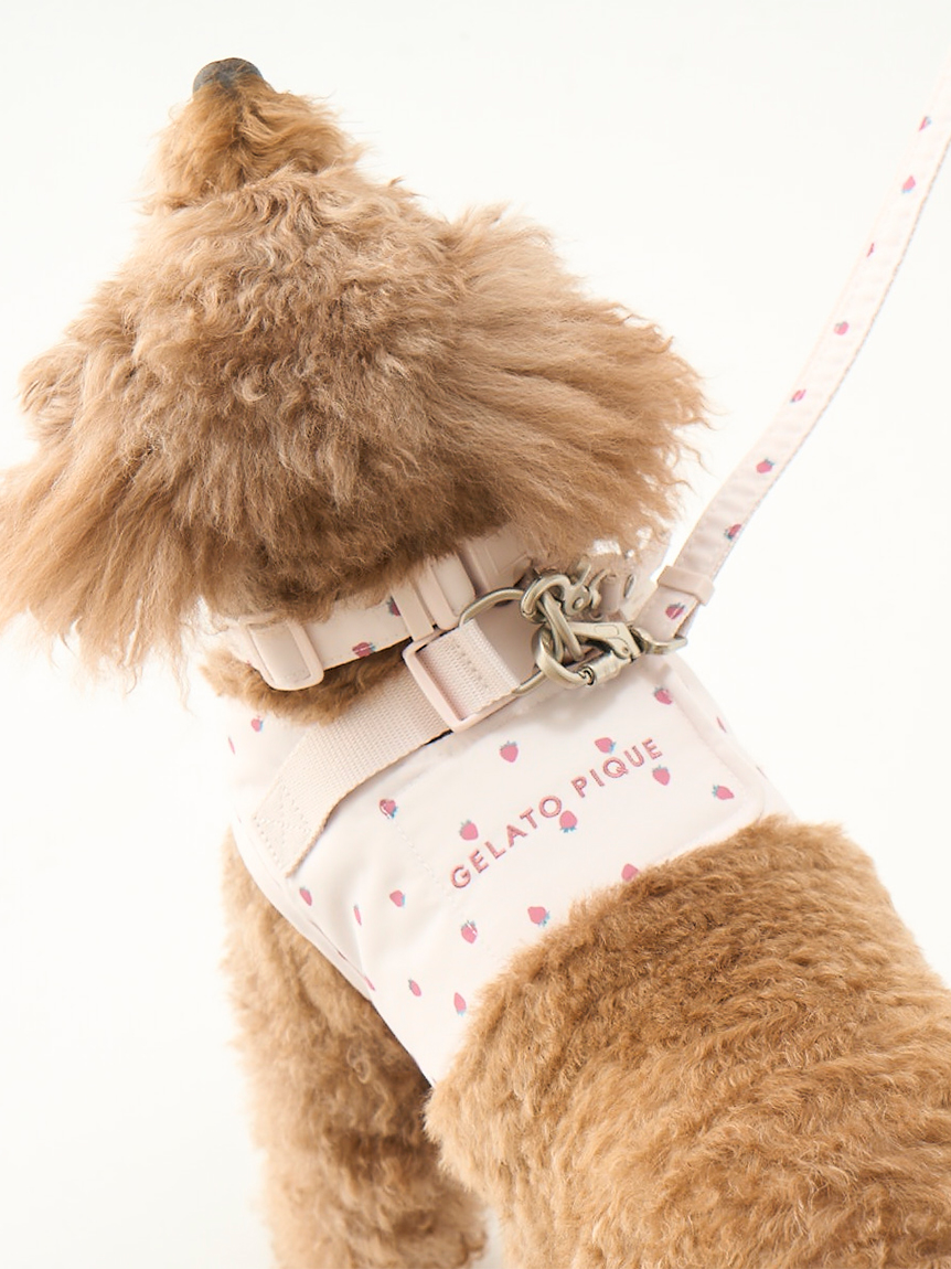 gelato pique（ジェラートピケ）【CAT&DOG】【販路限定商品】モチーフ柄ハーネス｜全2色