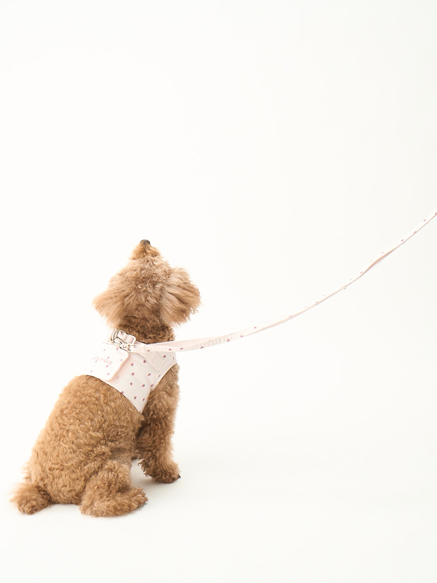 gelato pique（ジェラートピケ）【CAT&DOG】【販路限定商品】モチーフ柄ハーネス｜全2色