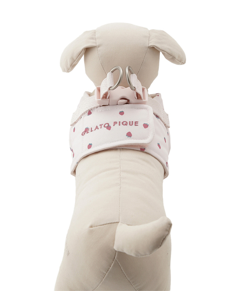 gelato pique（ジェラートピケ）【CAT&DOG】【販路限定商品】モチーフ柄ハーネス｜全2色