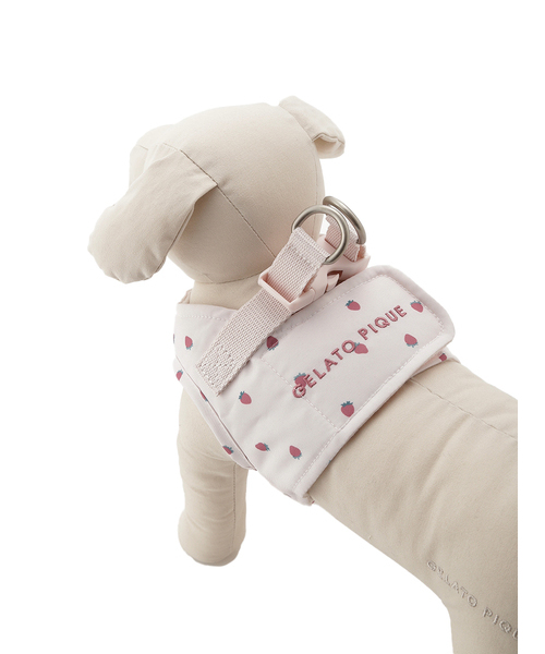gelato pique（ジェラートピケ）【CAT&DOG】【販路限定商品】モチーフ柄ハーネス｜全2色