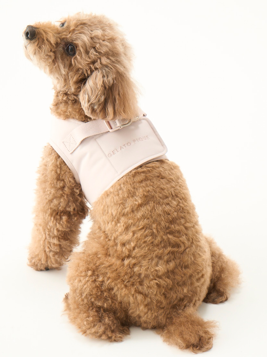 gelato pique（ジェラートピケ）【CAT&DOG】【販路限定商品】CAT&DOG ハーネス｜全2色
