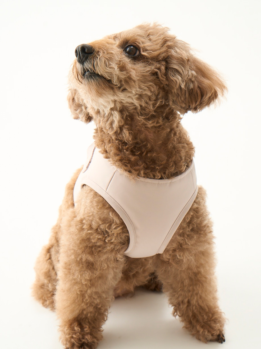 gelato pique（ジェラートピケ）【CAT&DOG】【販路限定商品】CAT&DOG ハーネス｜全2色
