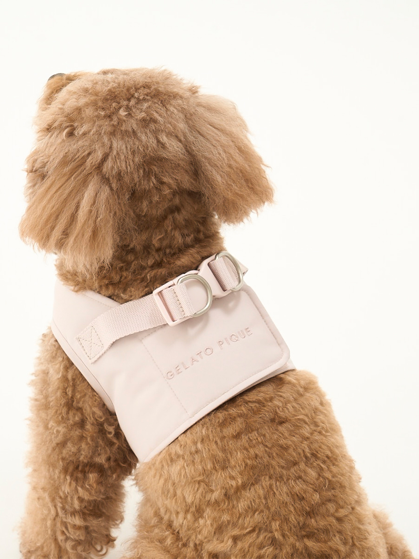 gelato pique（ジェラートピケ）【CAT&DOG】【販路限定商品】CAT&DOG ハーネス｜全2色