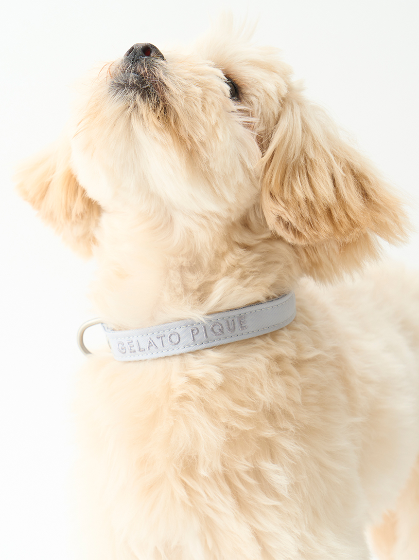 gelato pique（ジェラートピケ）【CAT&DOG】【販路限定商品】CAT&DOG 首輪｜全2色